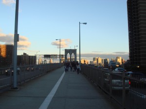 DSC00535