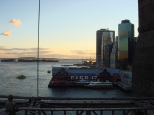 DSC00541